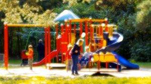 Объективы Pentax Soft .  Осень в Московском парке Тропарево-Никулино.