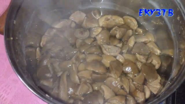 Ядовитые грибы.Как готовить ПОДОТАВНИКИ! смотреть онлайн