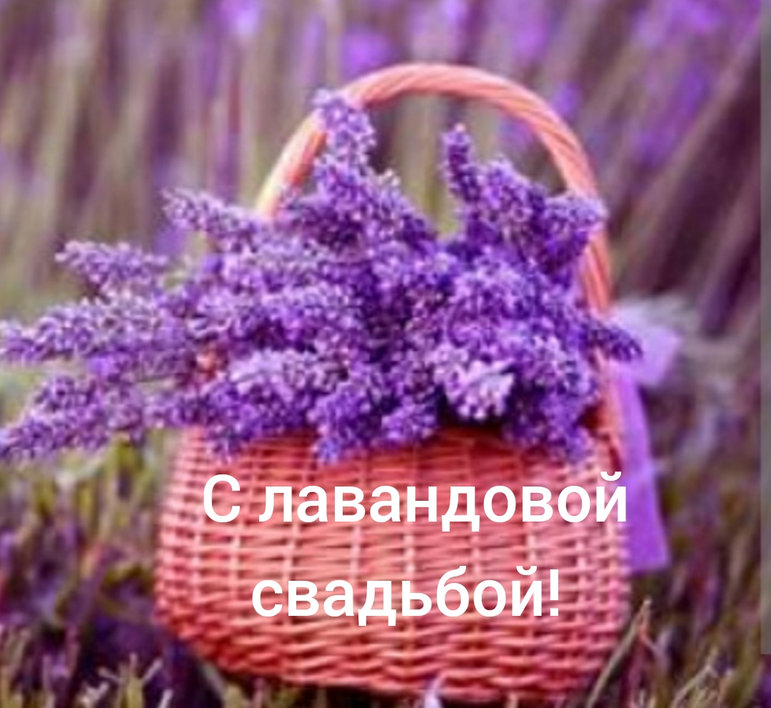 С 46-летием свадьбы!