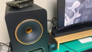 Tannoy Gold8