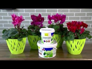 Акриловая краска для садовых деревьев от Фаско