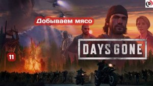 Прохождение Days Gone часть 11 ОХОТНИК НА ОХОТЕ