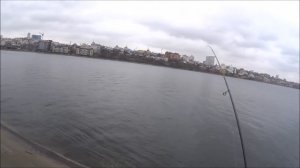 Tict Sram TCR-90S "Cannon"  VS  Corto Prototype Trenta GORPTS 862ML-T