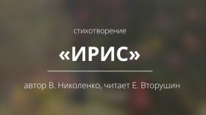 Стихотворение «Ирис»