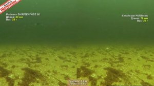 Вибы Madness SHIRITEN VIBE 93,80,73 против китайских реплик. Сравним игру на 5.5 метрах