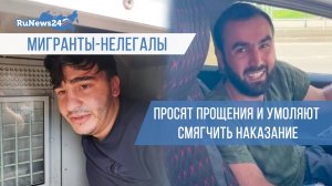 Мигранты-нелегалы просят прощения и умоляют смягчить наказание