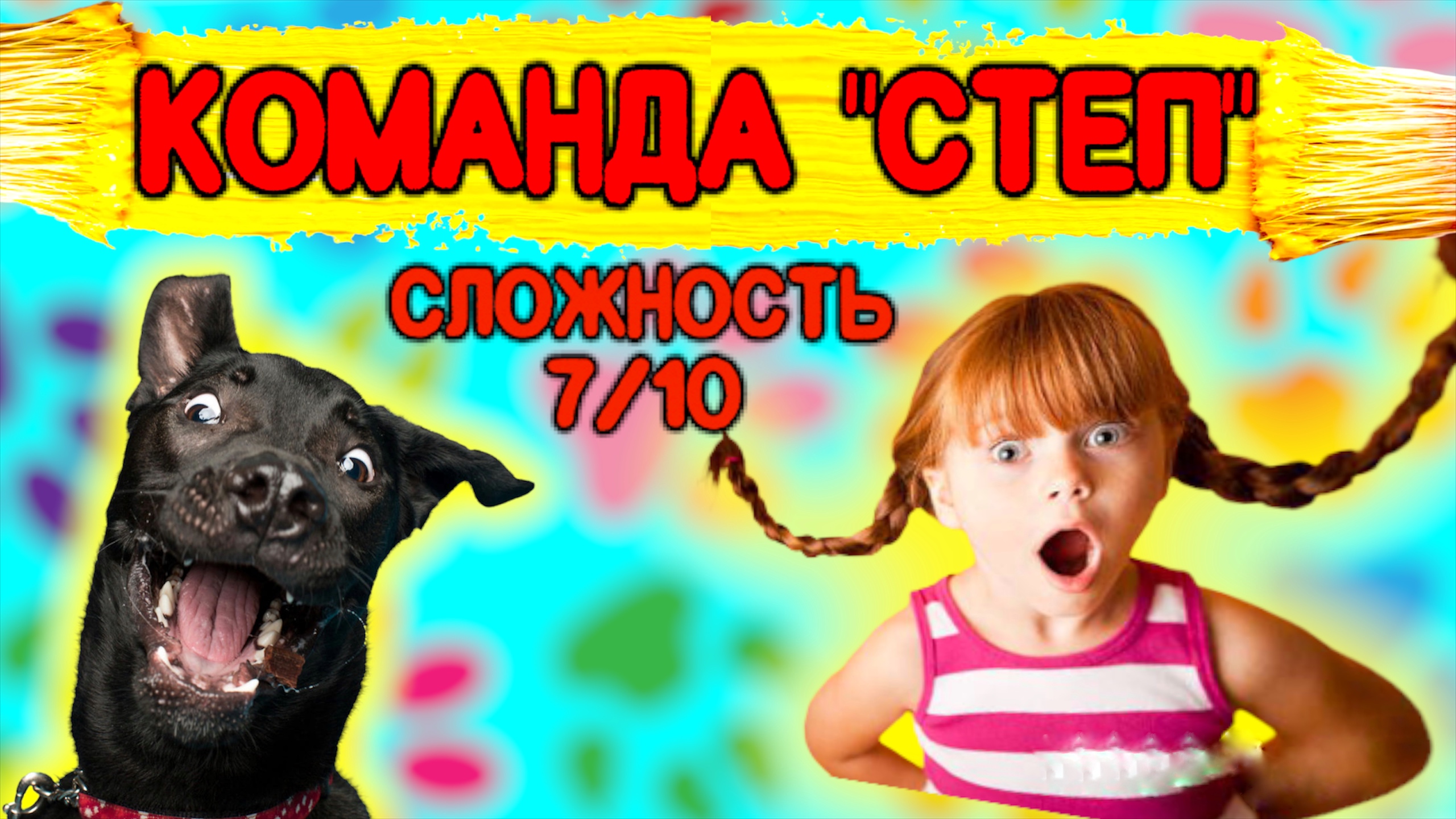 Как научить собаку команде «Степ» смотреть онлайн