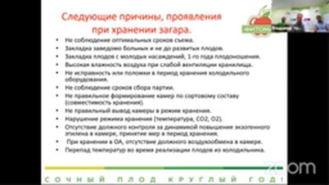 Этапы и особенности процесса хранения фруктов и овощей смотреть онлайн