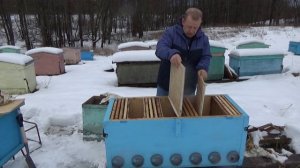 Размножение пчёл.  Из 1 пчелосемьи 4 в одном Владимирском улье лежаке. Легко без тяжестей.