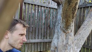 Работа реноватора WORX в яблоневом саду.