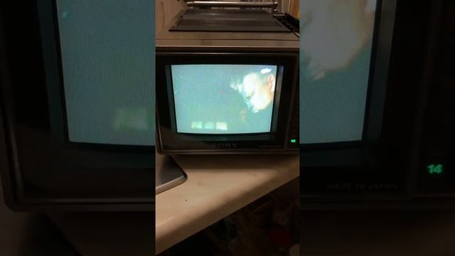 Sony Trinitron KV-6000 Receiving analog tv channels in 2020 смотреть онлайн