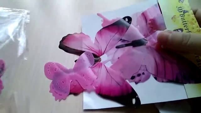 Наклейки с pandao смотреть онлайн