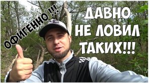 МИКРОДЖИГ на малой речке В ГОРОДЕ! Окунь и ДРУГИЕ ВИДЫ РЫБ на спиннинг!