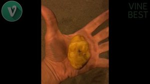 ВАЙНЫ 2018 ОТ СЕКА ПОДБОРКА VINE SEKA