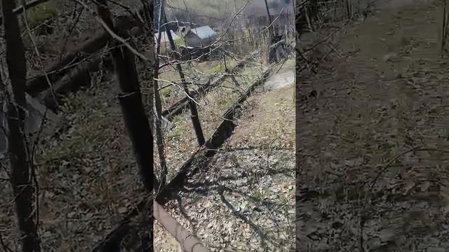 СНТ приозерное смотреть онлайн