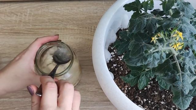 Хлебный Настой поможет корневой и укрепит иммунитет растений, Одна подкормка для всех растений смотреть онлайн