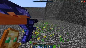 CPVP training server  *Java Edition*