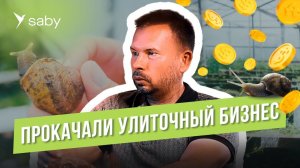 Гостиница на ферме. Как из улиток сделать туристический бренд | Отзыв Saby