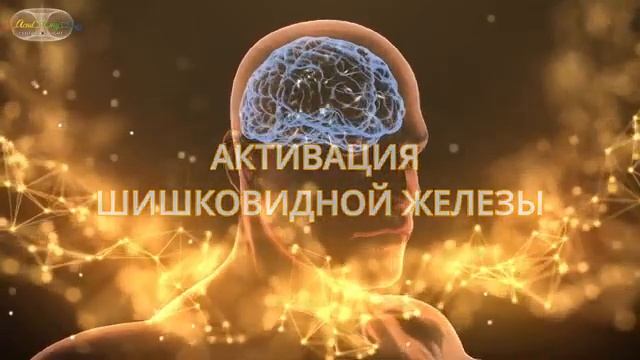 Мозг Бога. Активация спящих слоёв мозга