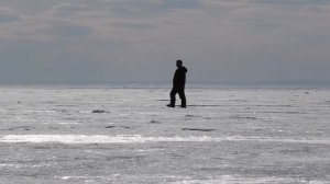 Байкальский хариус. Новый Энхэлук