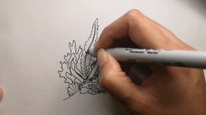 How To Draw Corals Step By Step For Beginners | Easy Coral Reef Drawing Idea | Ocean. Drawing