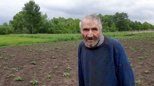 ДЕД МАТВЕЙ САМЫЙ ЛУЧШИЙ ОГОРОДНИК!