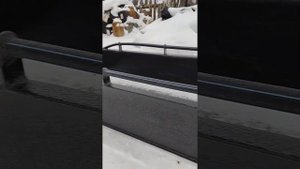 Сани волокуши из ПНД пластика для Бурана!!