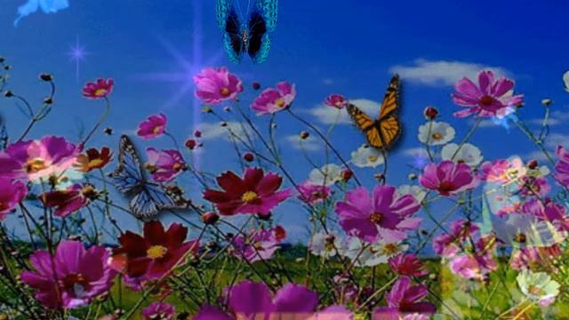 Веселая музыка смотреть онлайн