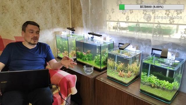Прикорневые и жидкие удобрения для аквариума. Ненаучный стрим.