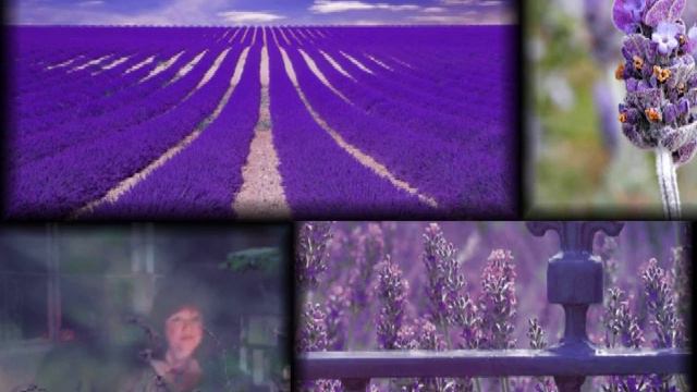 Lavender's Blue - English folk song, harmony смотреть онлайн