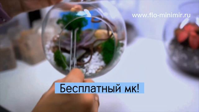 Дарю мастер-класс "Флорариум за час" !