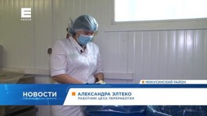 В Минусинске солят капусту по бабушкиным рецептам в промышленных масштабах