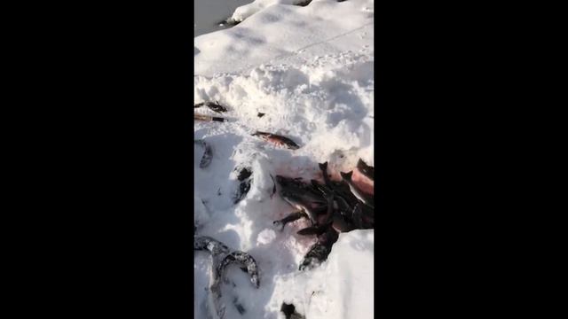 Рыбалка на Камчатке!!!