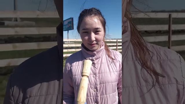 Посадка саженцев сосны смотреть онлайн