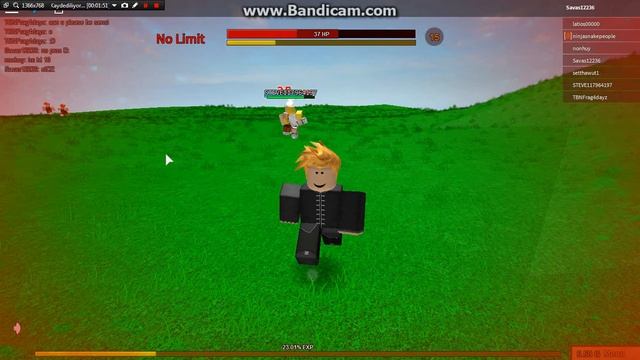 Playing Martial Heroes:Closed Alpha смотреть онлайн