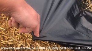 Пленка для укрытия силоса в кургане