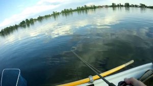 Щука на Биг Бейты. Рыбалка с ночевкой,на Нарове.