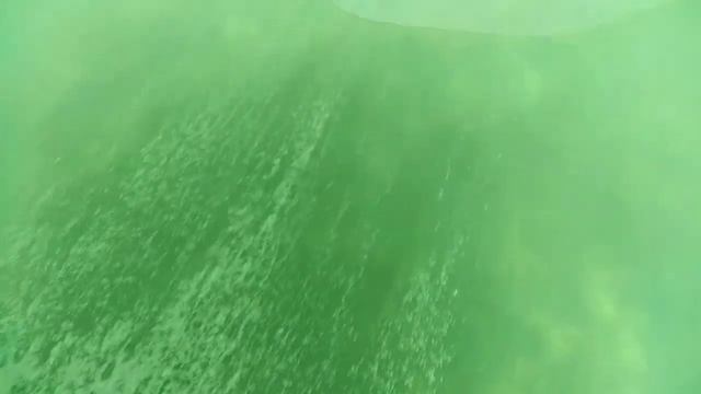 #Анапа. Экскурсия на катере с стеклянным дном. Встреча с дельфинами.Июль2021. смотреть онлайн