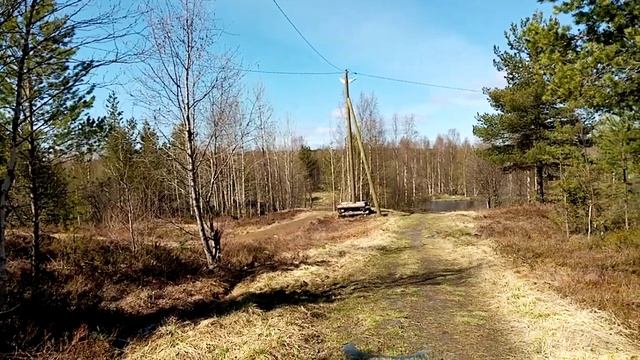 Голоса птиц Северной Карелии.The voices of birds of North Karelia.