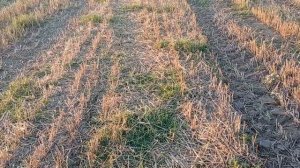 Квадроцикл на базе Хонда НТВ 650