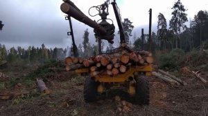 Вывоз леса с места лесозаготовки