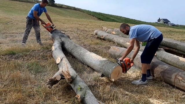 Husqvarna 390xp & Husqvarna 372 xp x-torq смотреть онлайн