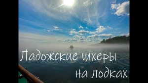 Выходные на Ладожских шхерах | Баня Мобиба