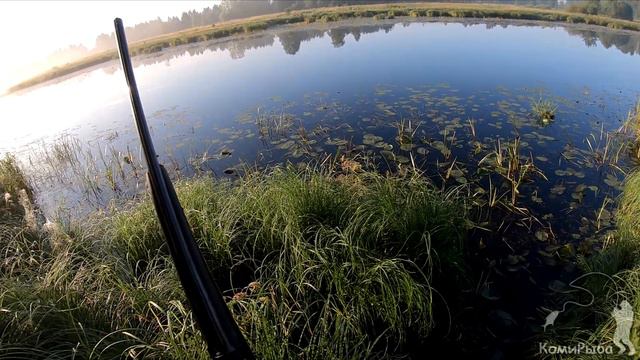 Моя первая охота на утку 2020 смотреть онлайн