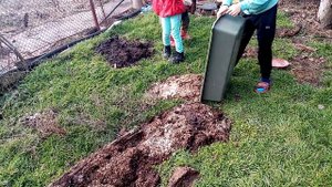 Куда девать перепелиный навоз.Серия 1. Органическая грядка.