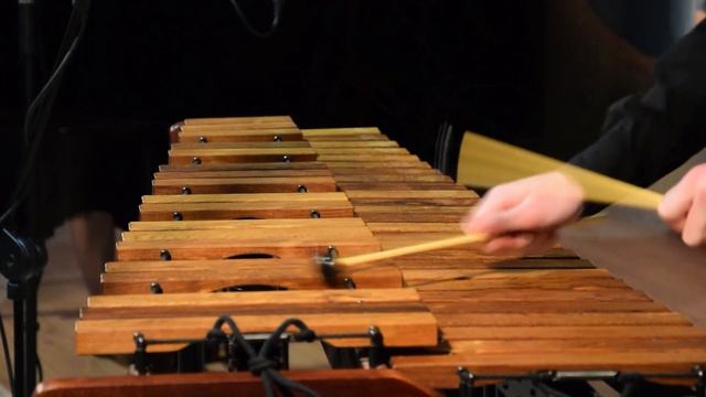 D. Kabalevsky - Comedians' Galop (Antoni Szuman - xylophone) смотреть онлайн