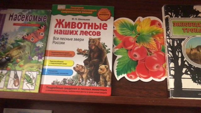 ДФ№3 Видеопредставление выставки ЛЕС ПОЛОН ЧУДЕС