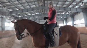 Менка ног в воздухе на галопе на лошади. Одиночная