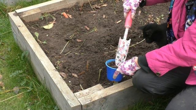 Пора сеять дельфиниумы! смотреть онлайн