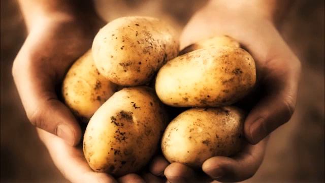 Притча об обиде смотреть онлайн